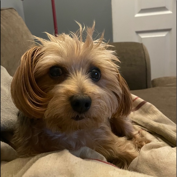 Meet your Posher, Neil - Picture 1 of 1